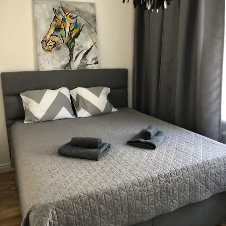 V.reimani Apartment